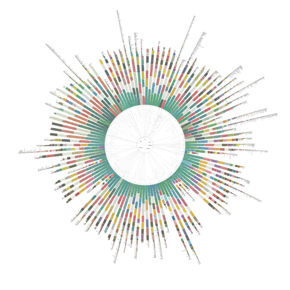 Colorful Language radial visualization
