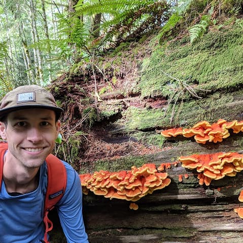 Foraging mushrooms in the woods