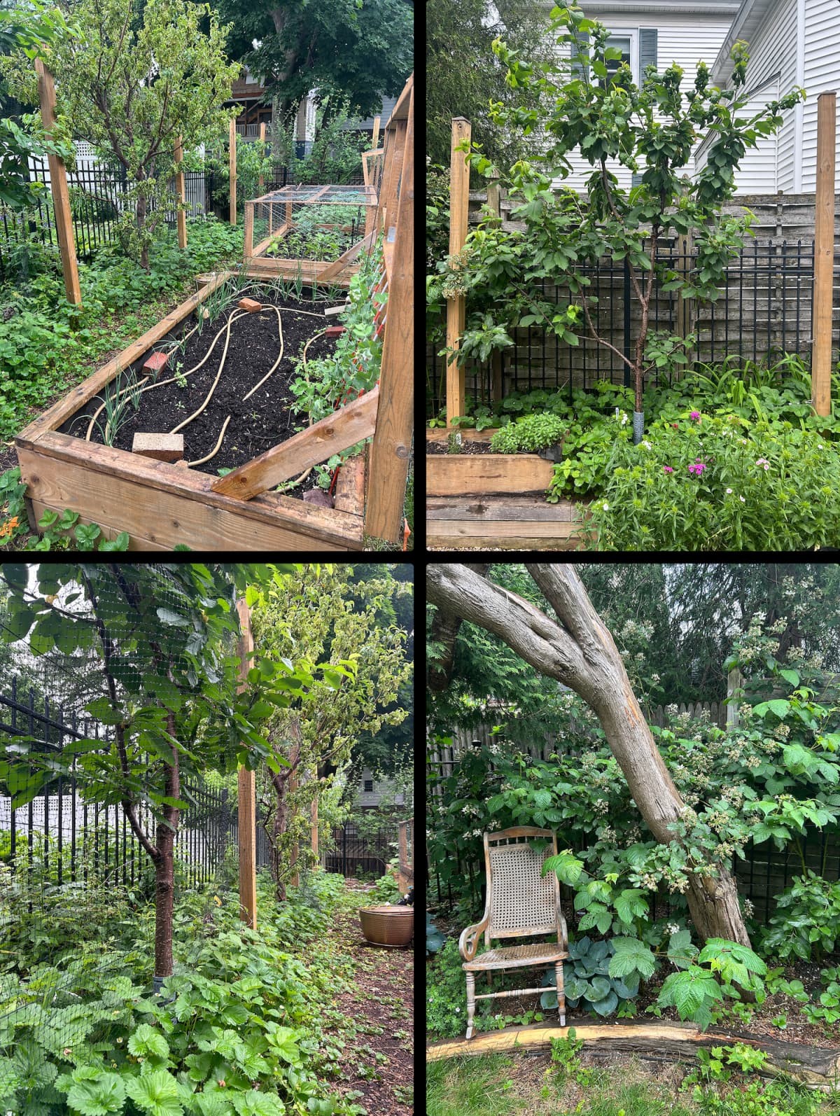 Garden layout after